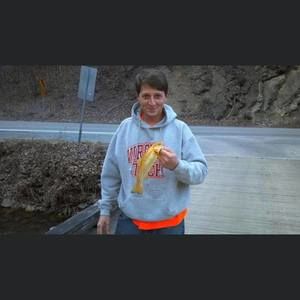 Meet your Posher, Stewart